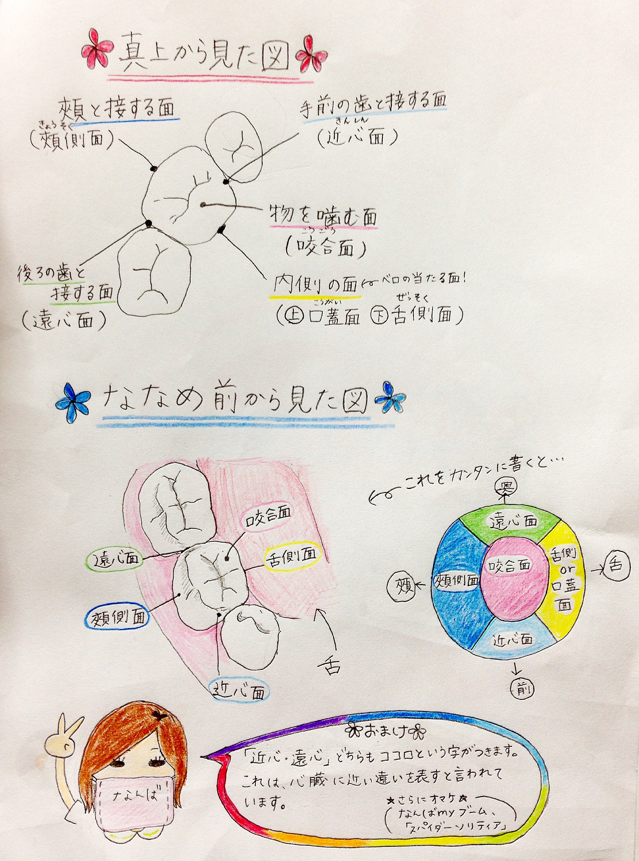 ファイル 648-1.jpg