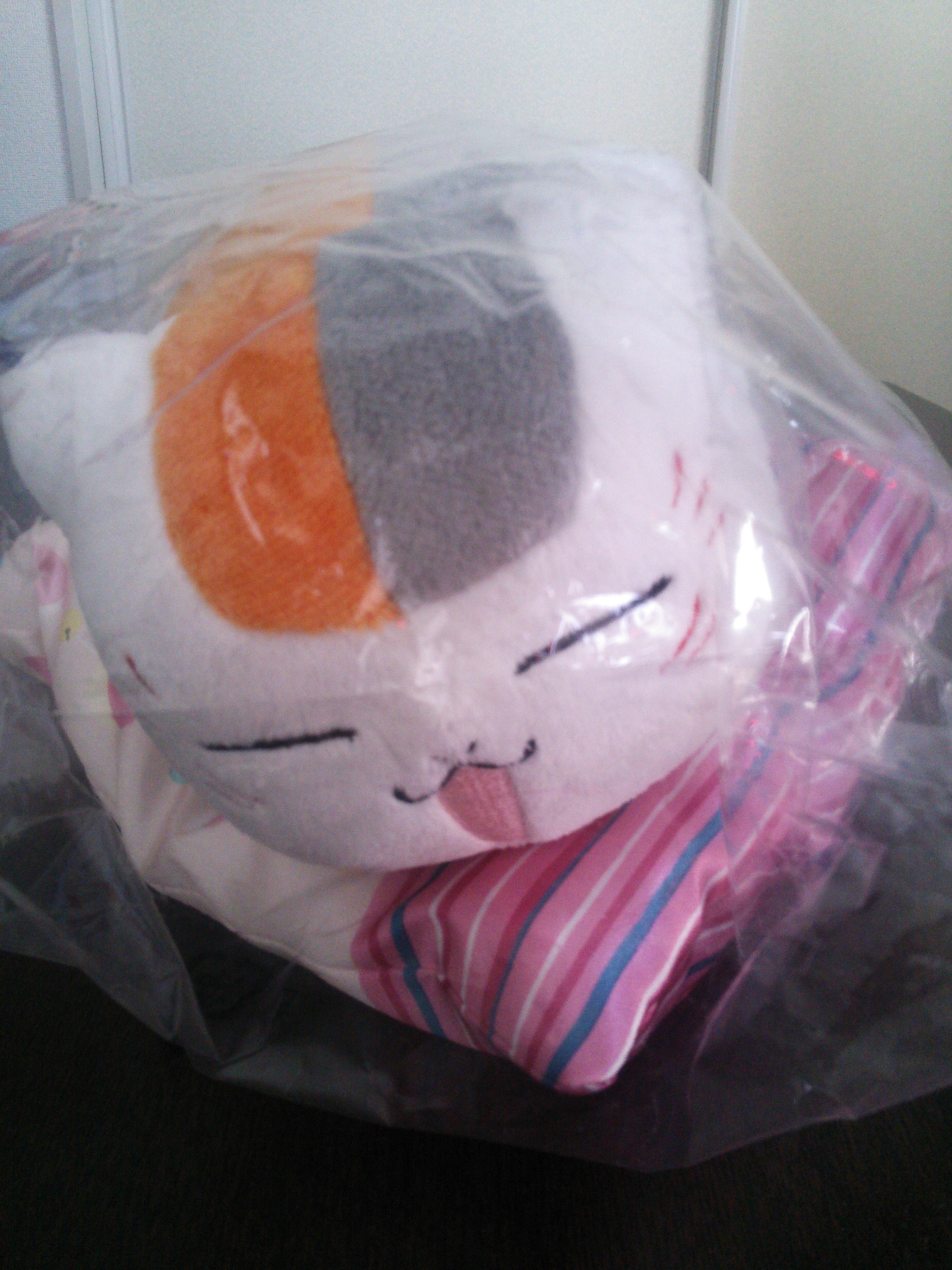 ファイル 649-1.jpg