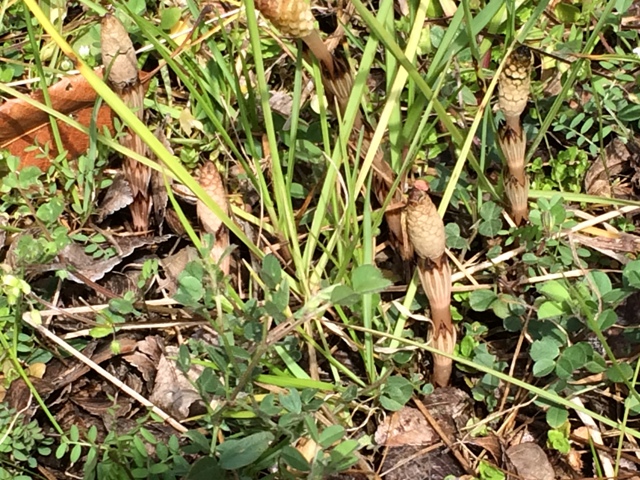 ファイル 652-1.jpg