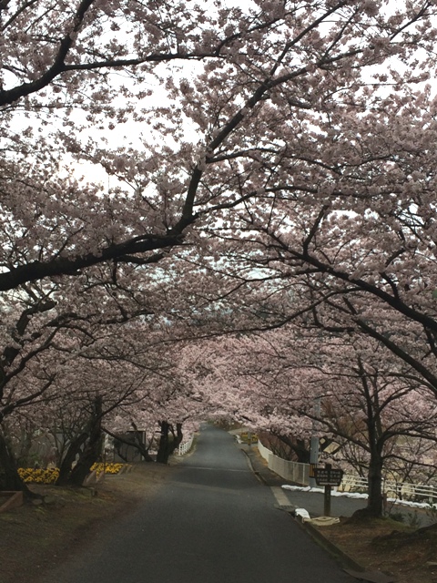 ファイル 664-3.jpg