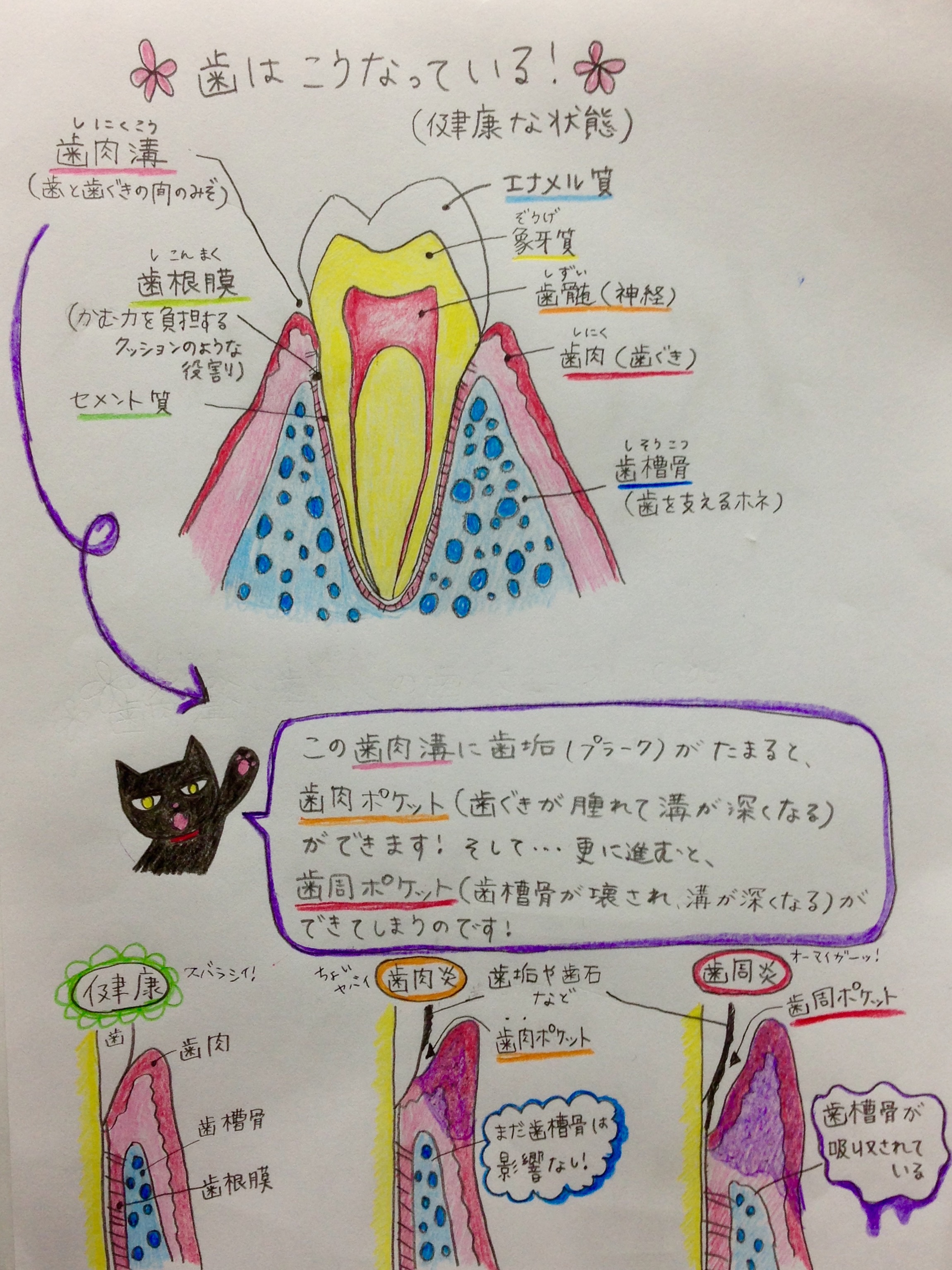 ファイル 668-1.jpg