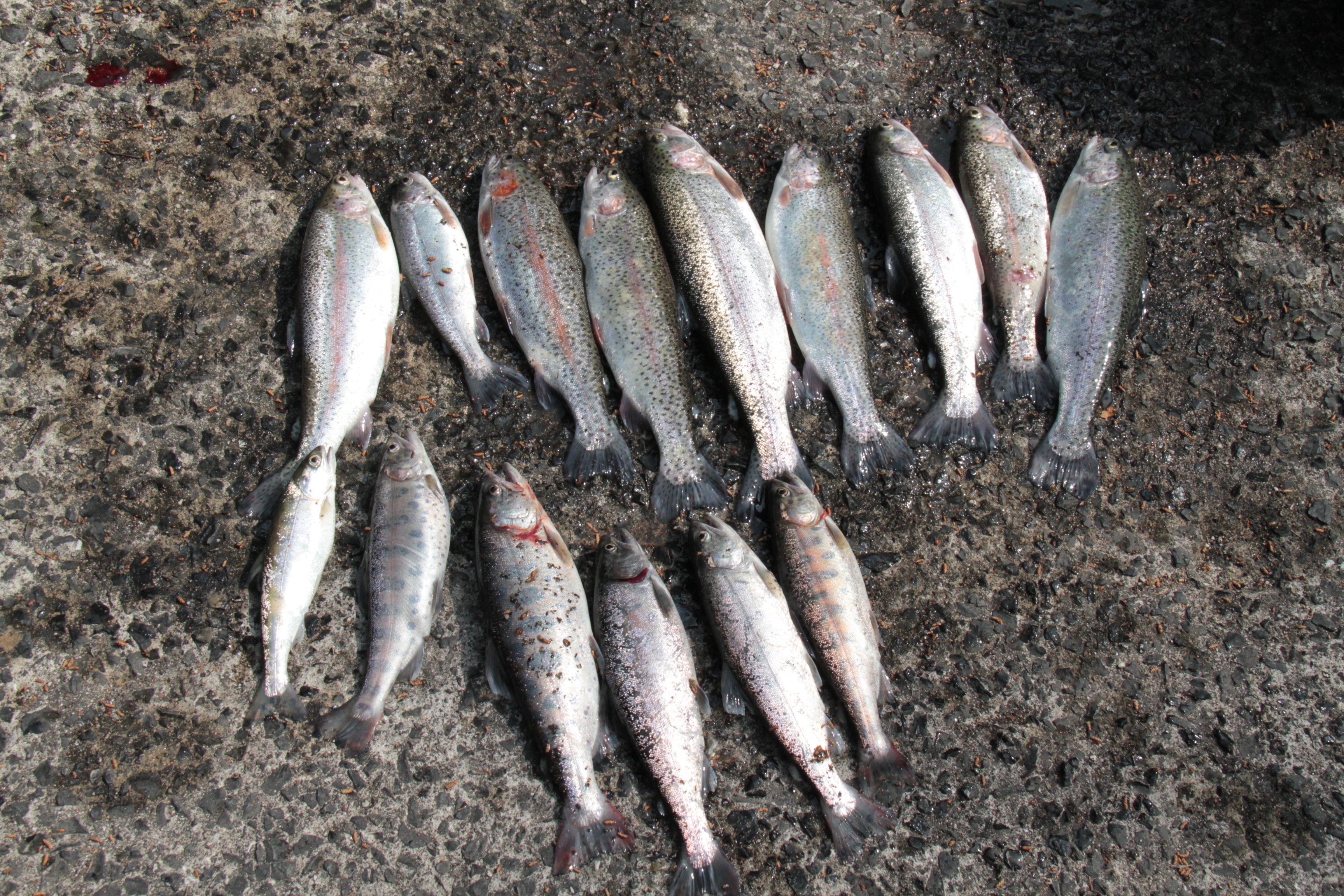 ファイル 671-4.jpg