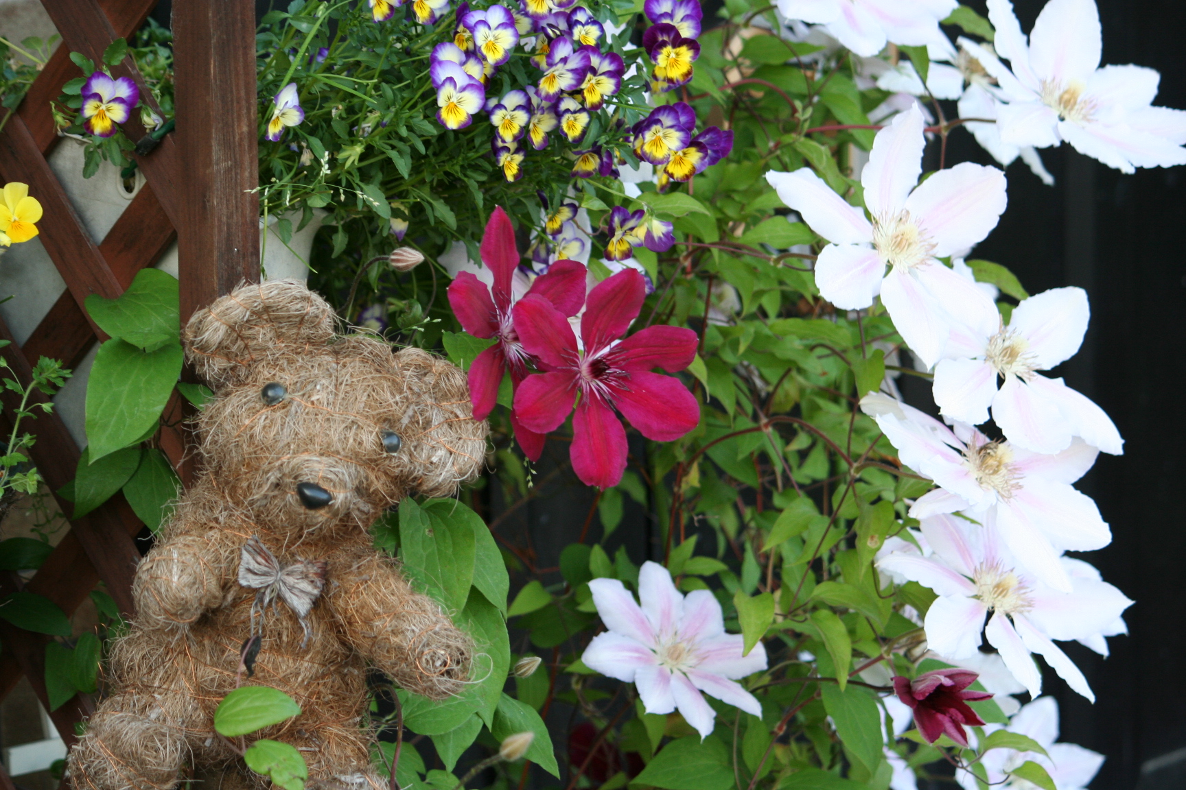 ファイル 672-1.jpg