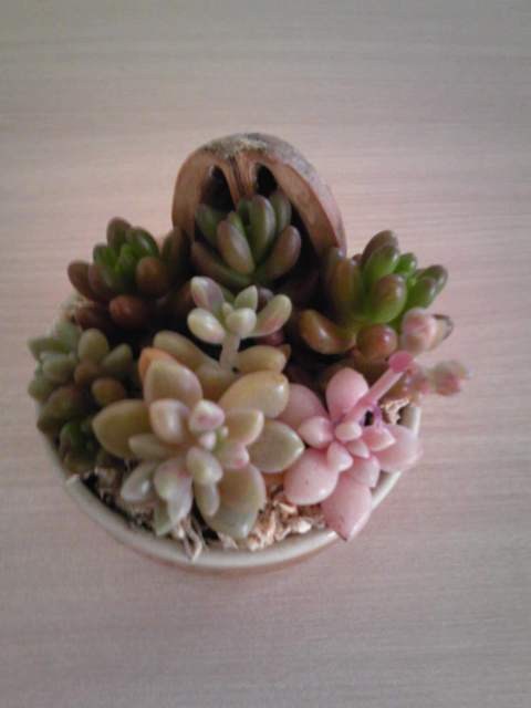 ファイル 675-1.jpg