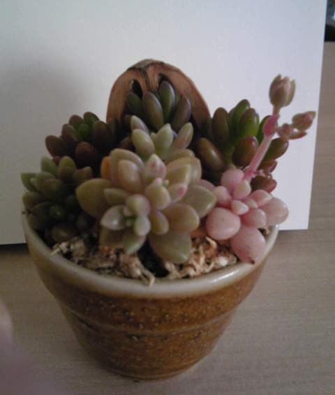 ファイル 675-2.jpg