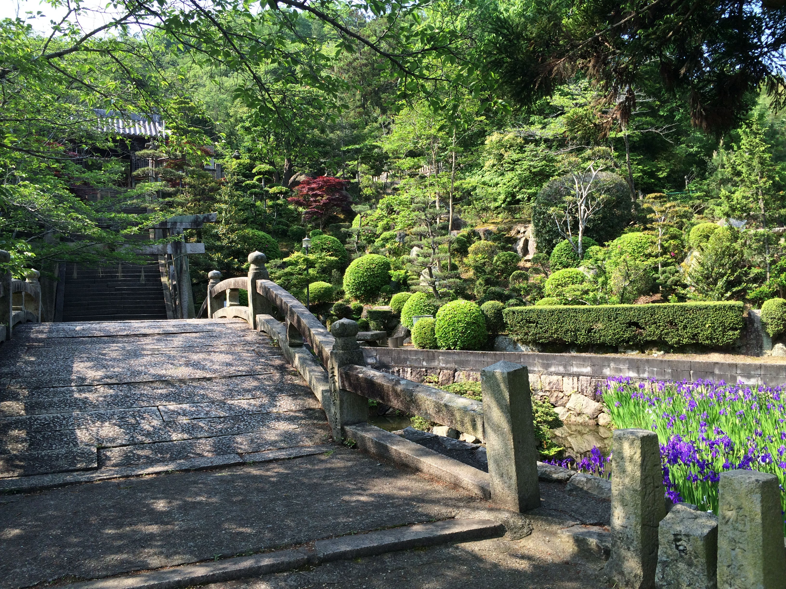 ファイル 676-4.jpg