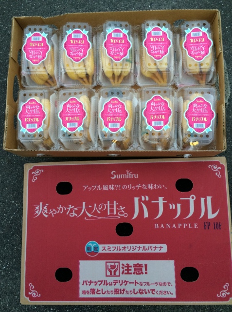 ファイル 691-1.jpg