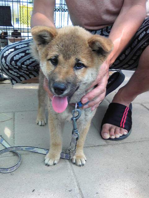 ファイル 698-2.jpg