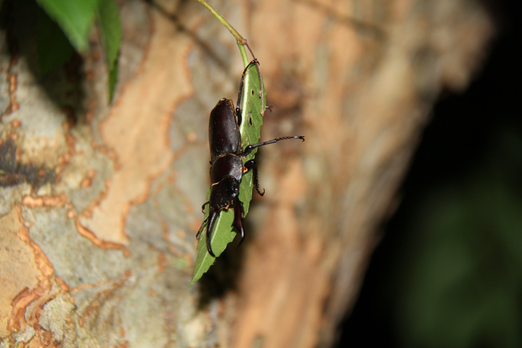 ファイル 699-2.jpg