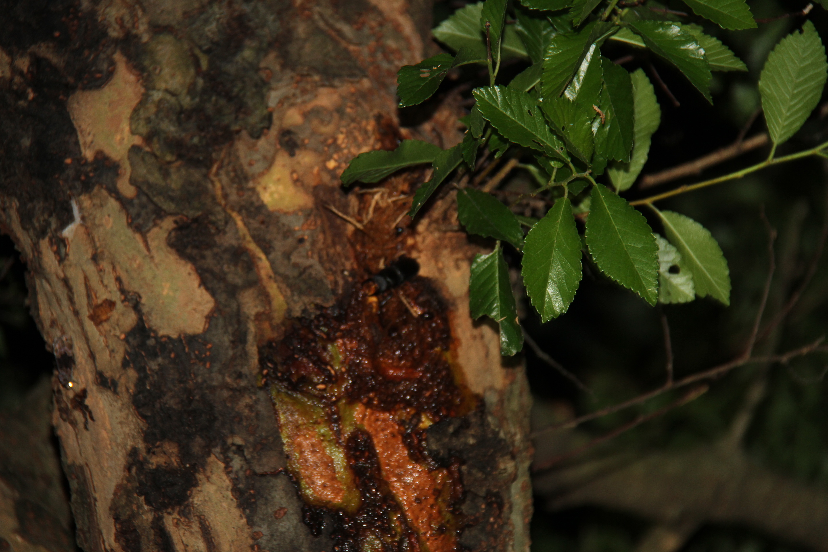 ファイル 699-3.jpg