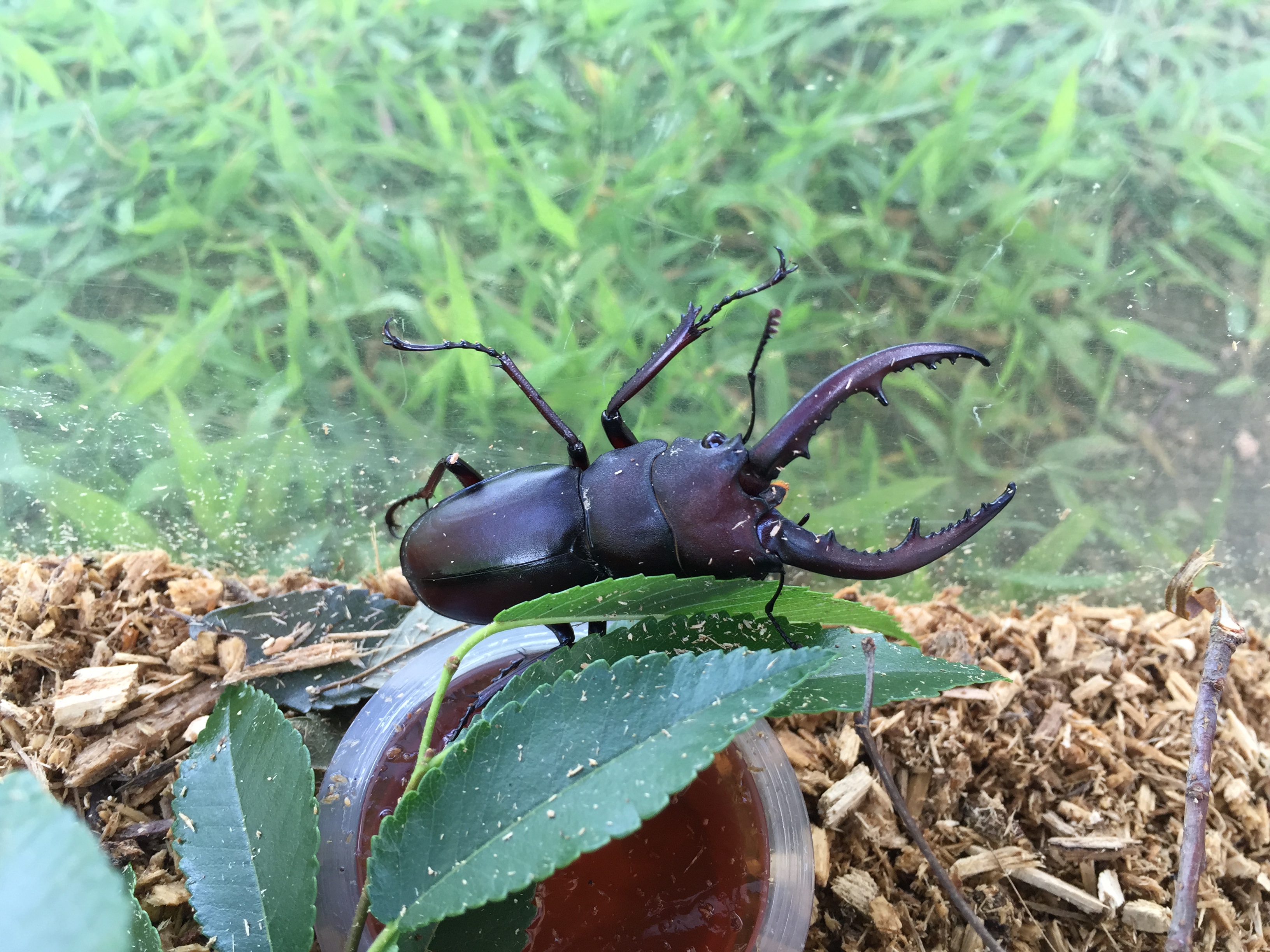 ファイル 699-4.jpg