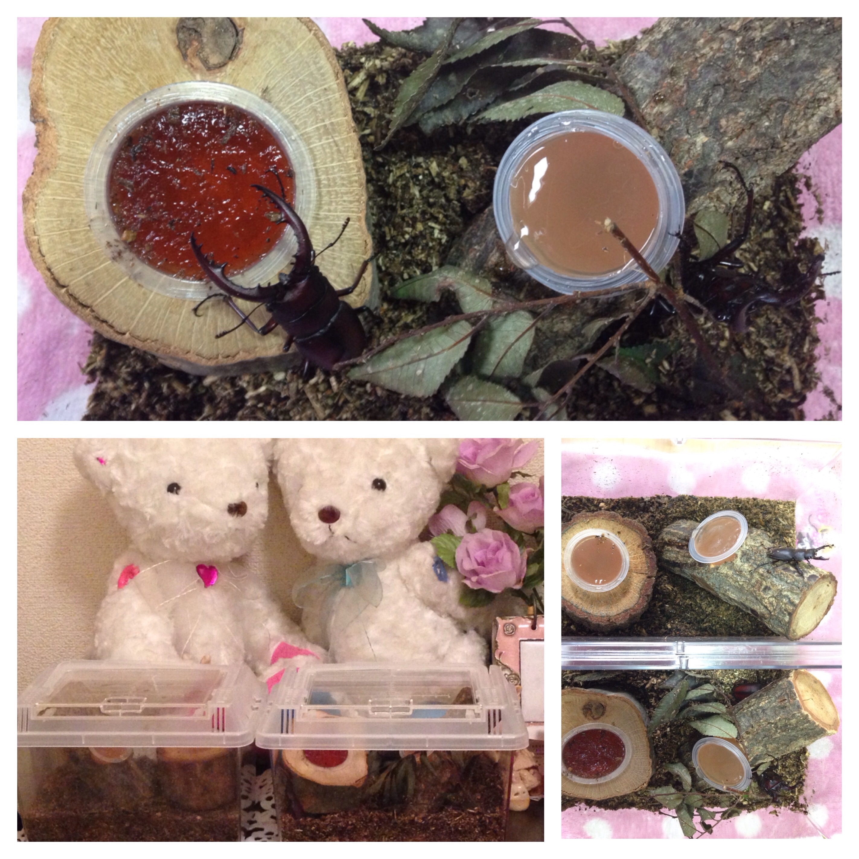 ファイル 701-1.jpg