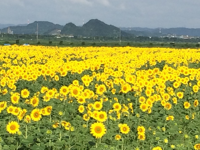 ファイル 706-1.jpg