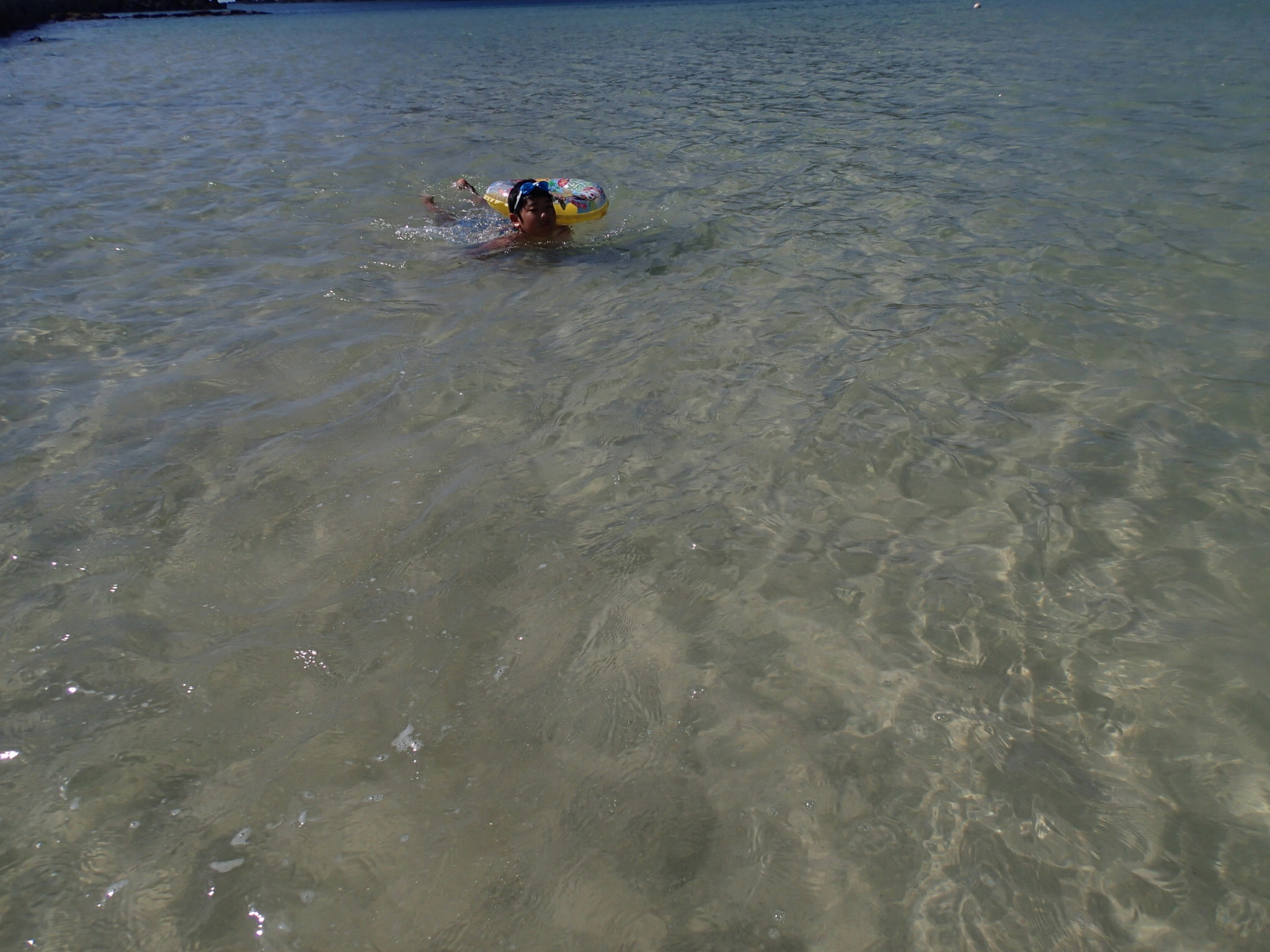 ファイル 713-1.jpg