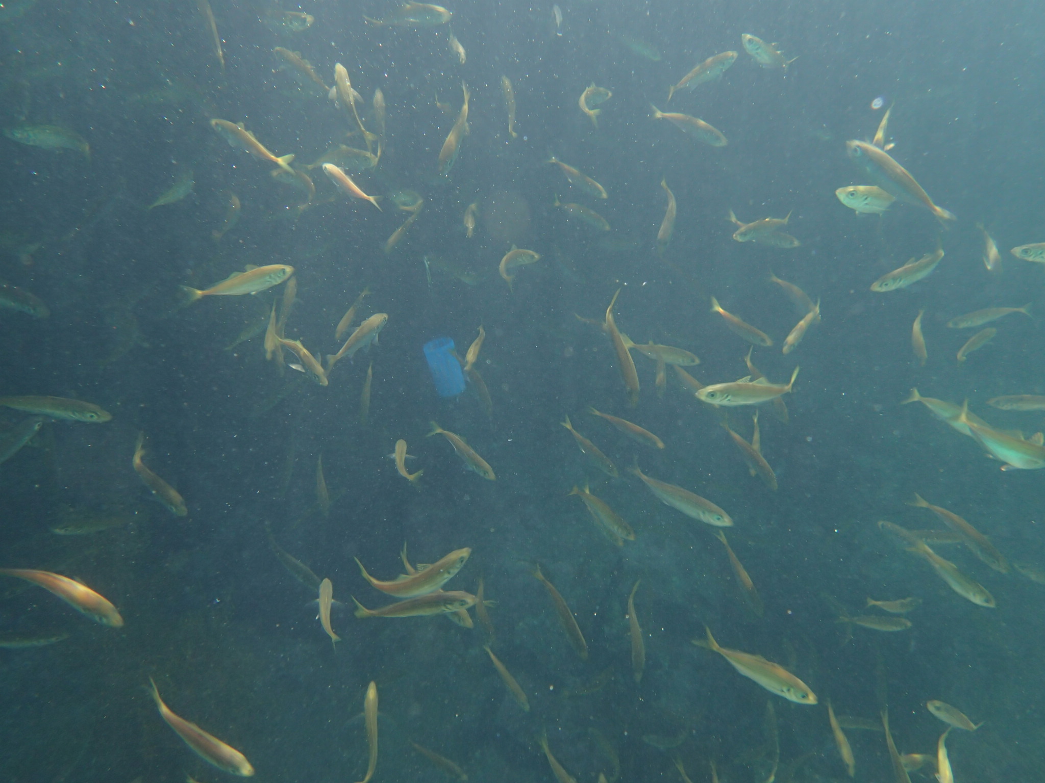 ファイル 713-3.jpg