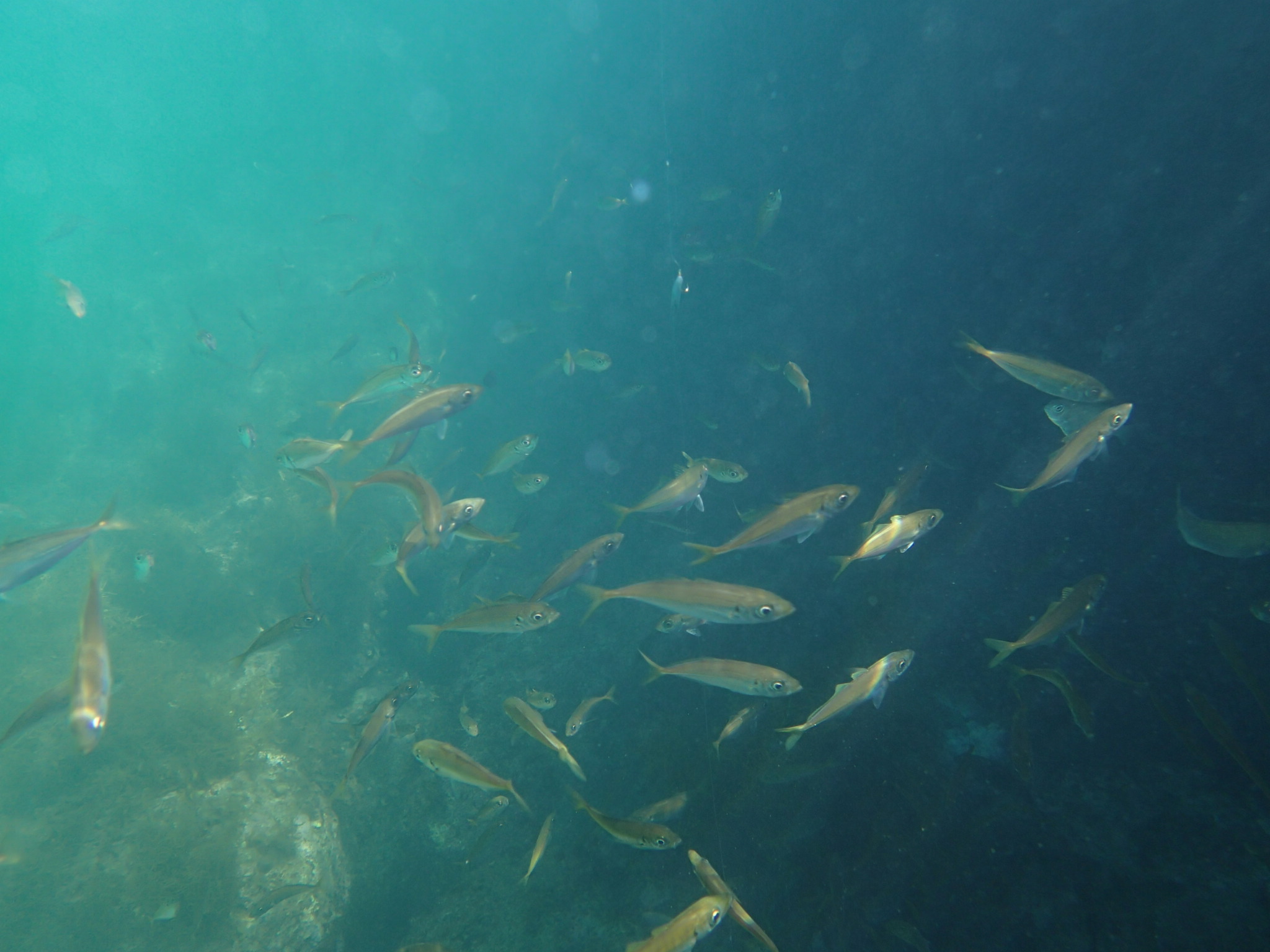 ファイル 713-4.jpg