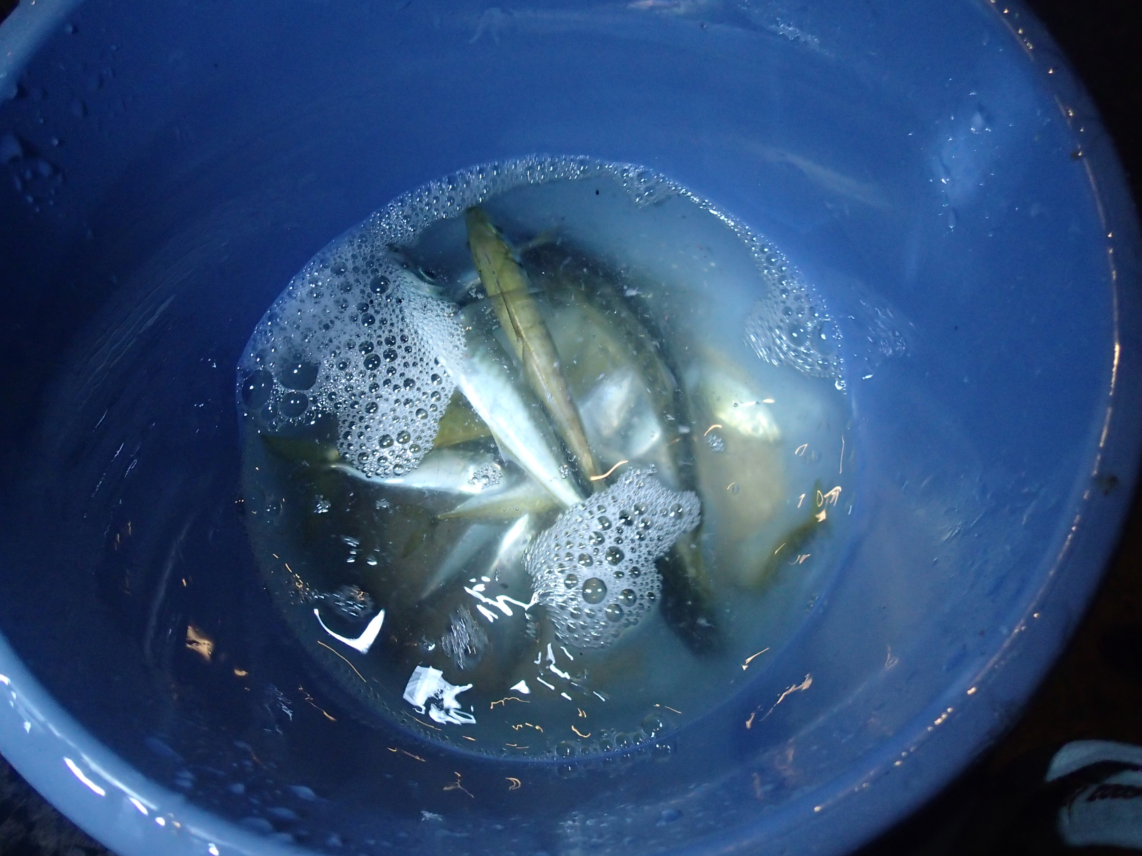 ファイル 713-5.jpg