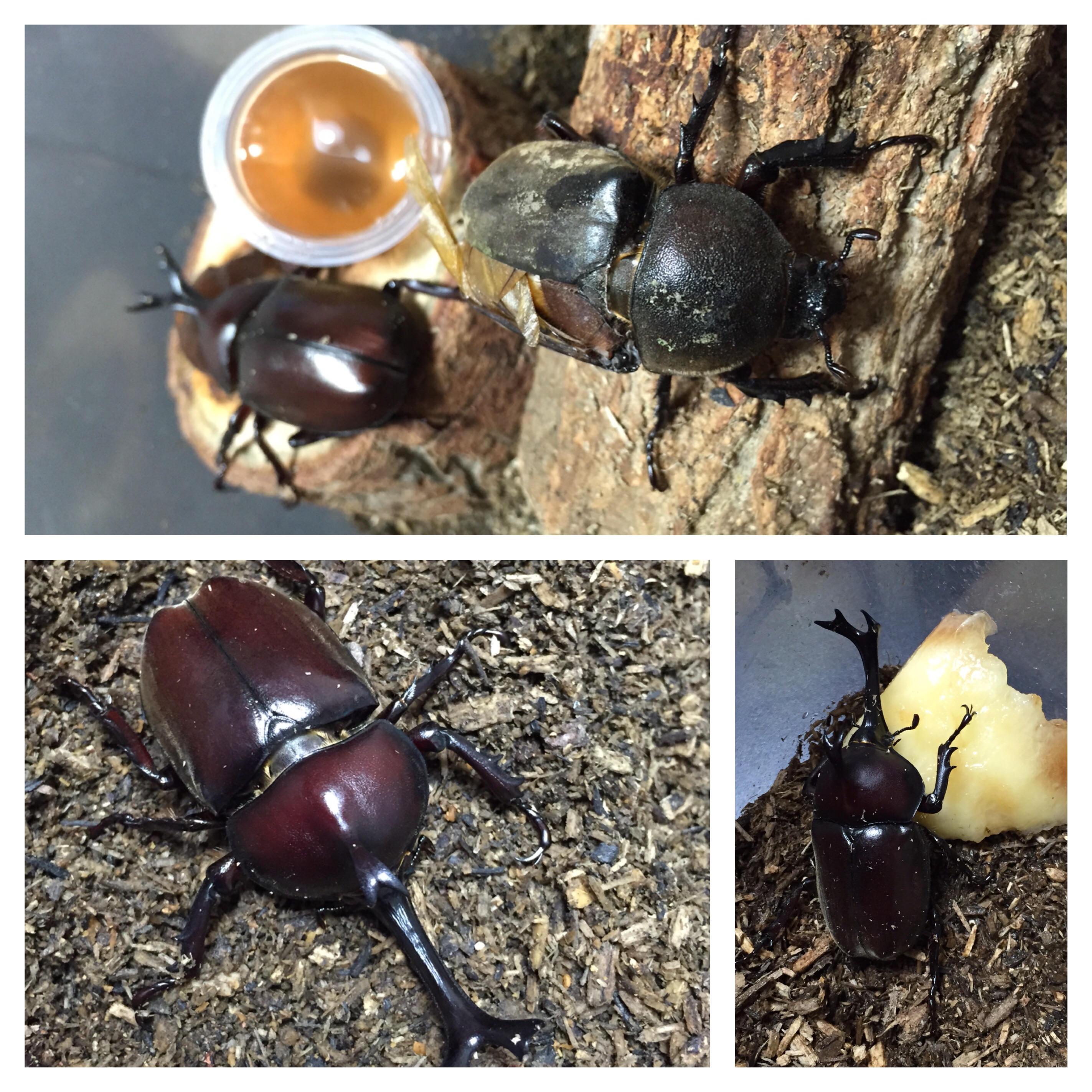 ファイル 714-1.jpg