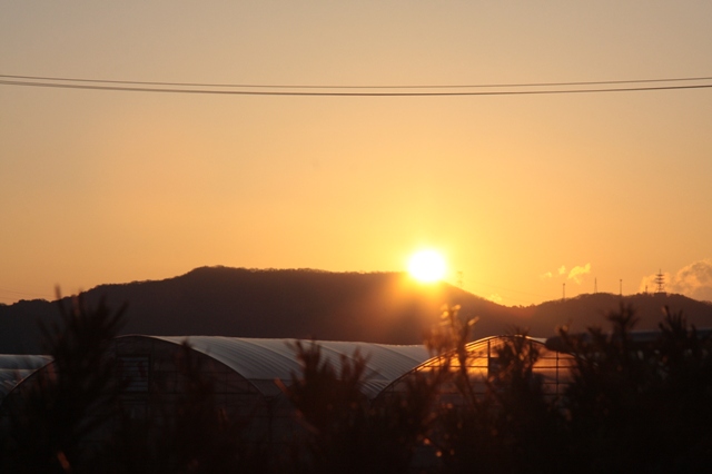 ファイル 72-2.jpg