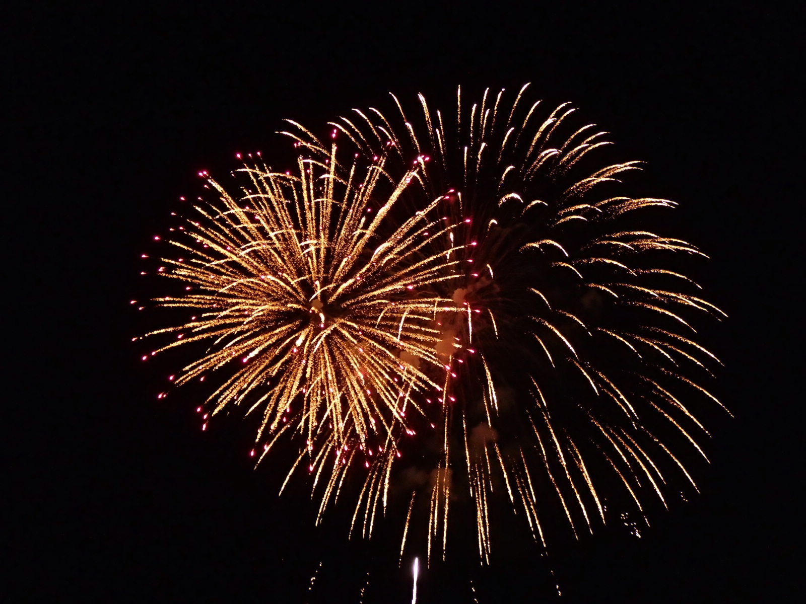 ファイル 725-1.jpg