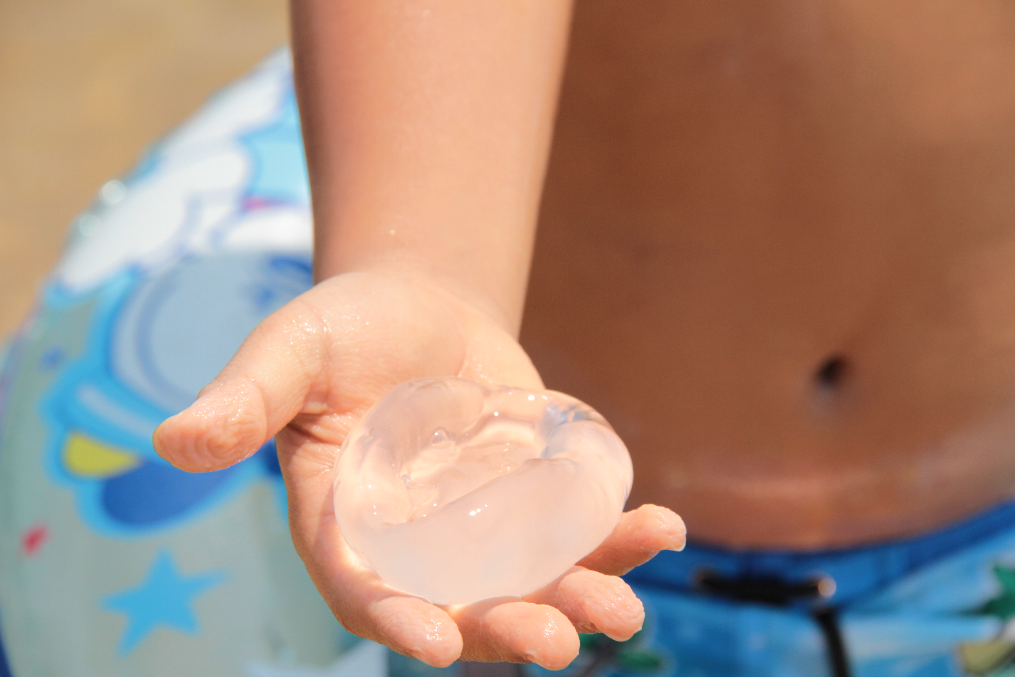 ファイル 726-3.jpg