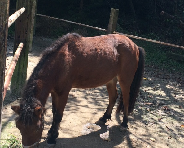 ファイル 727-3.jpg