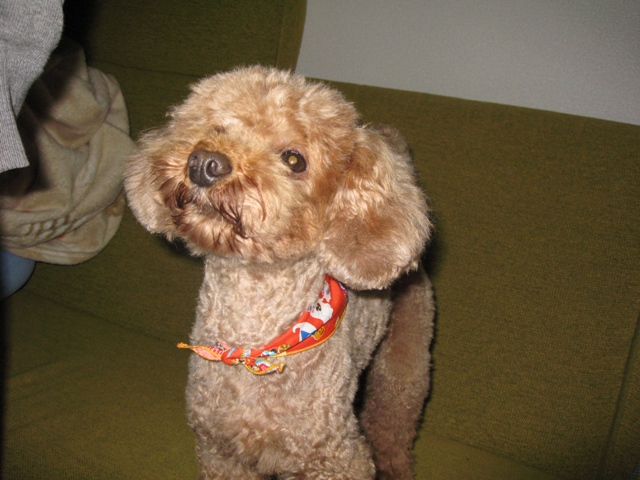 ファイル 748-1.jpg