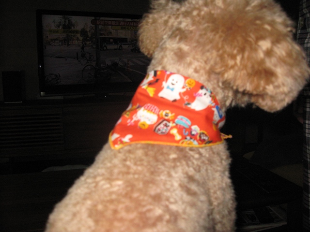 ファイル 748-2.jpg