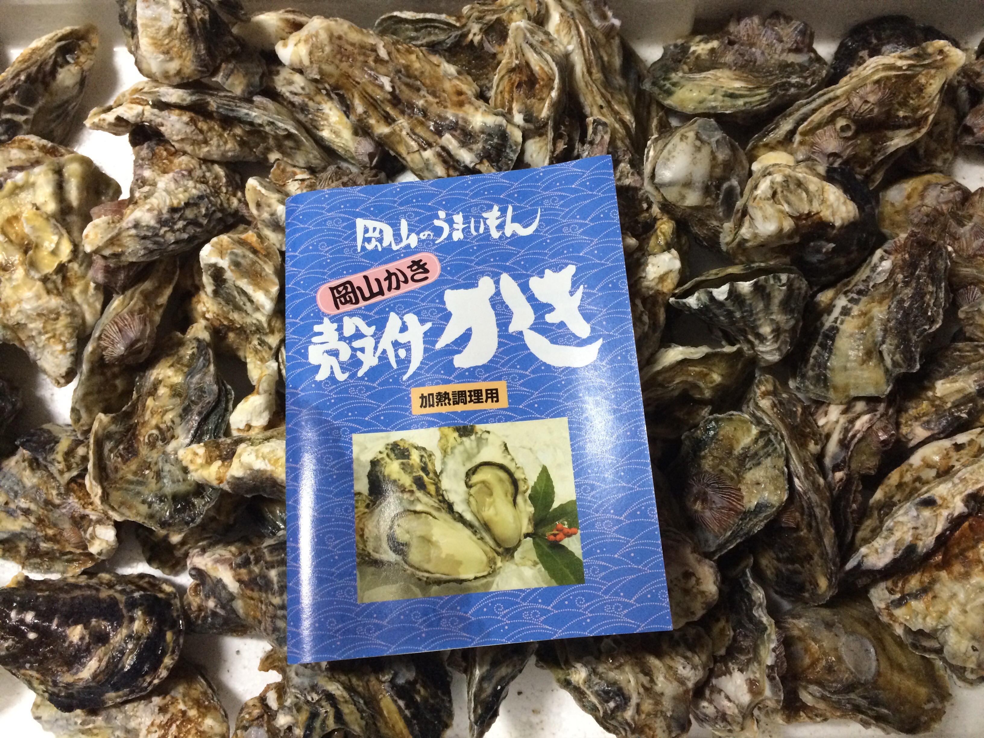 ファイル 772-2.jpeg