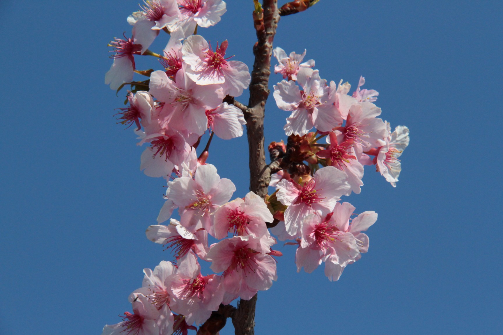 ファイル 811-4.jpg