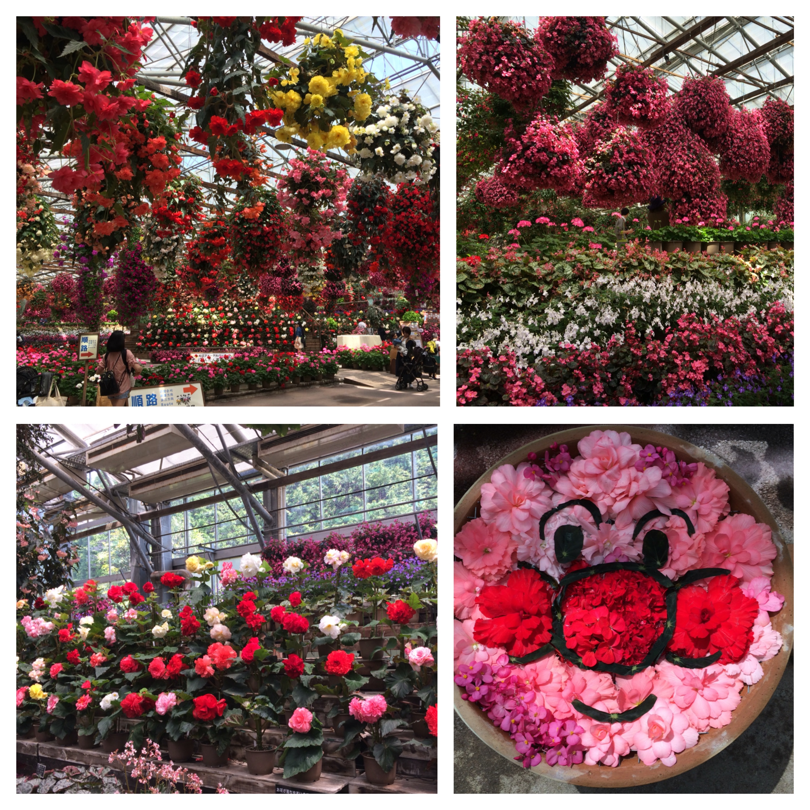 ファイル 824-1.jpeg