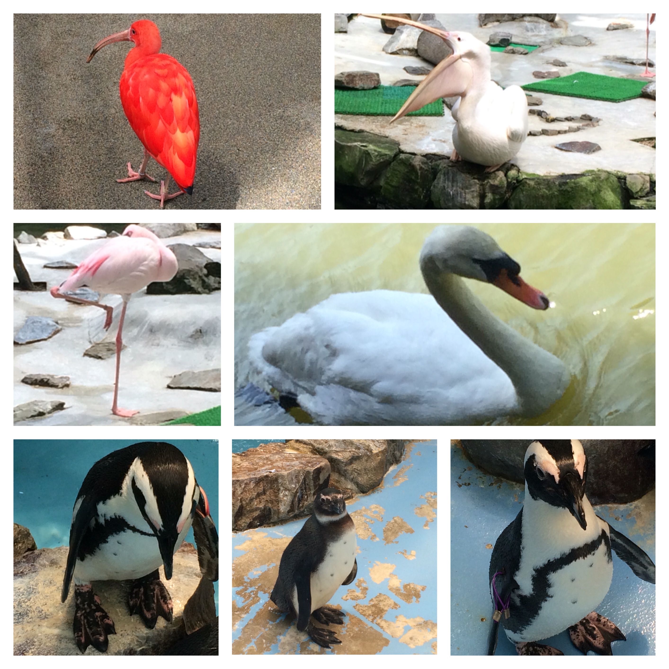 ファイル 824-2.jpeg