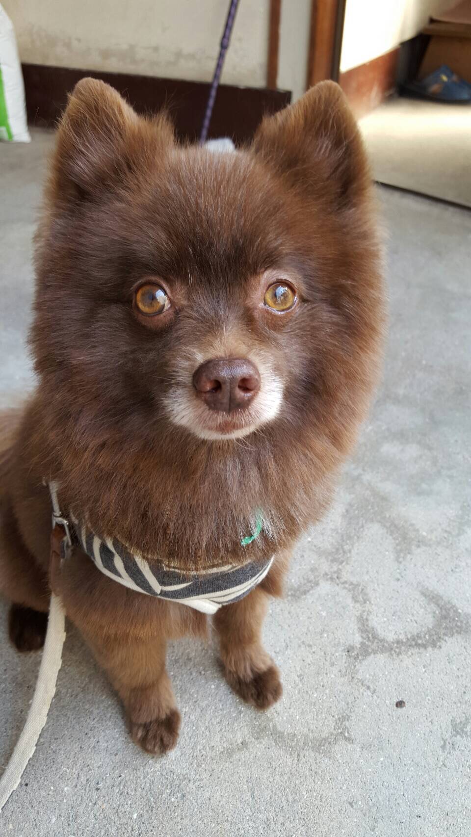 ファイル 829-1.jpeg