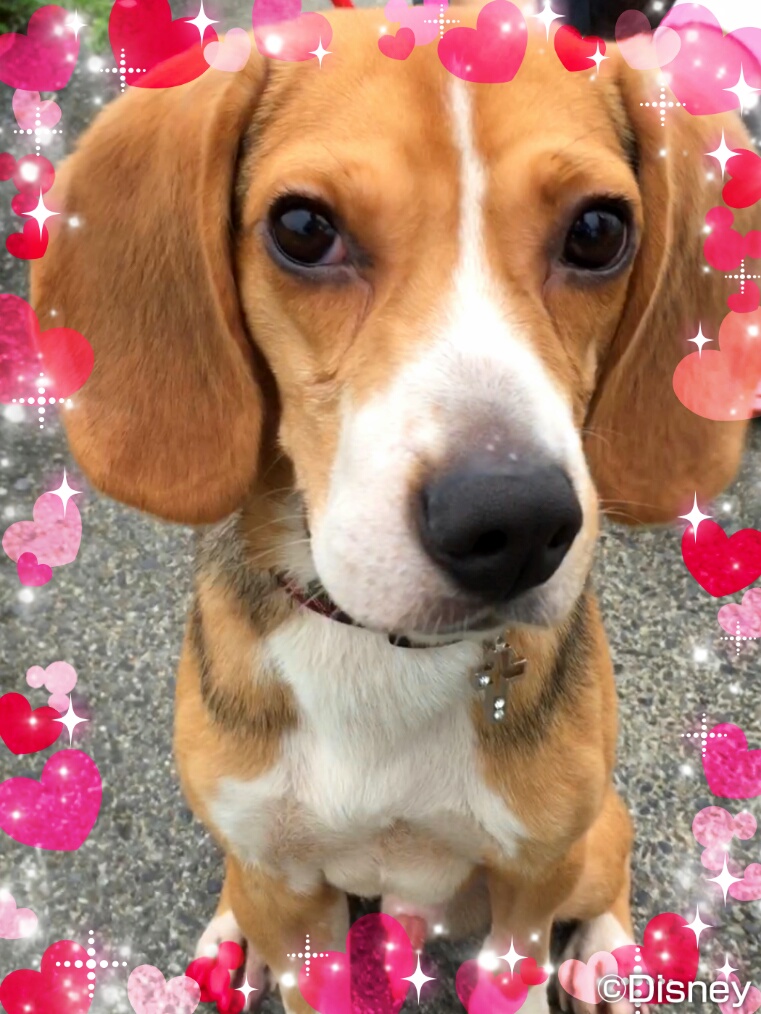 ファイル 843-1.jpg