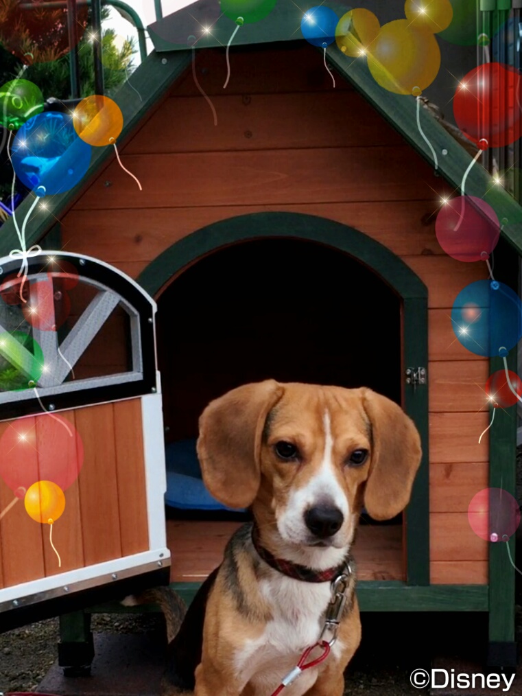 ファイル 843-2.jpg