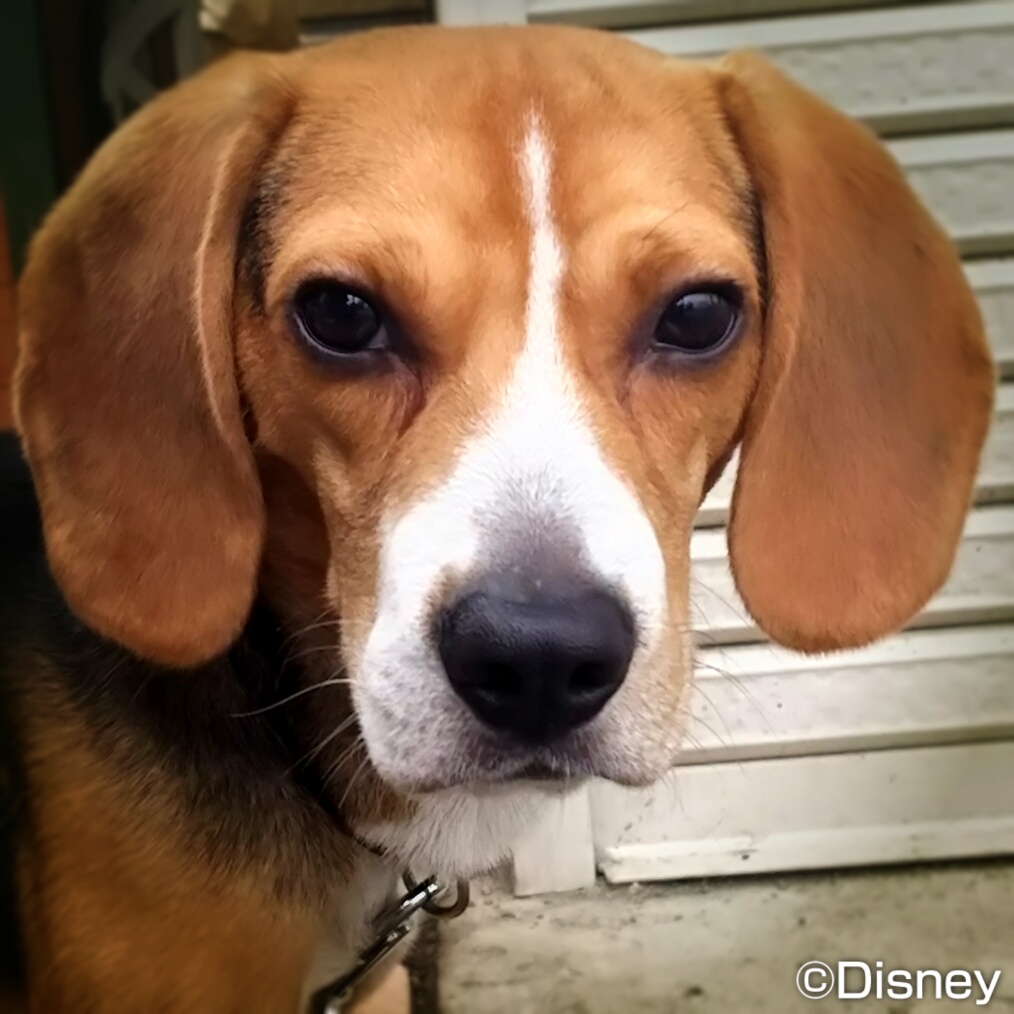 ファイル 843-3.jpg