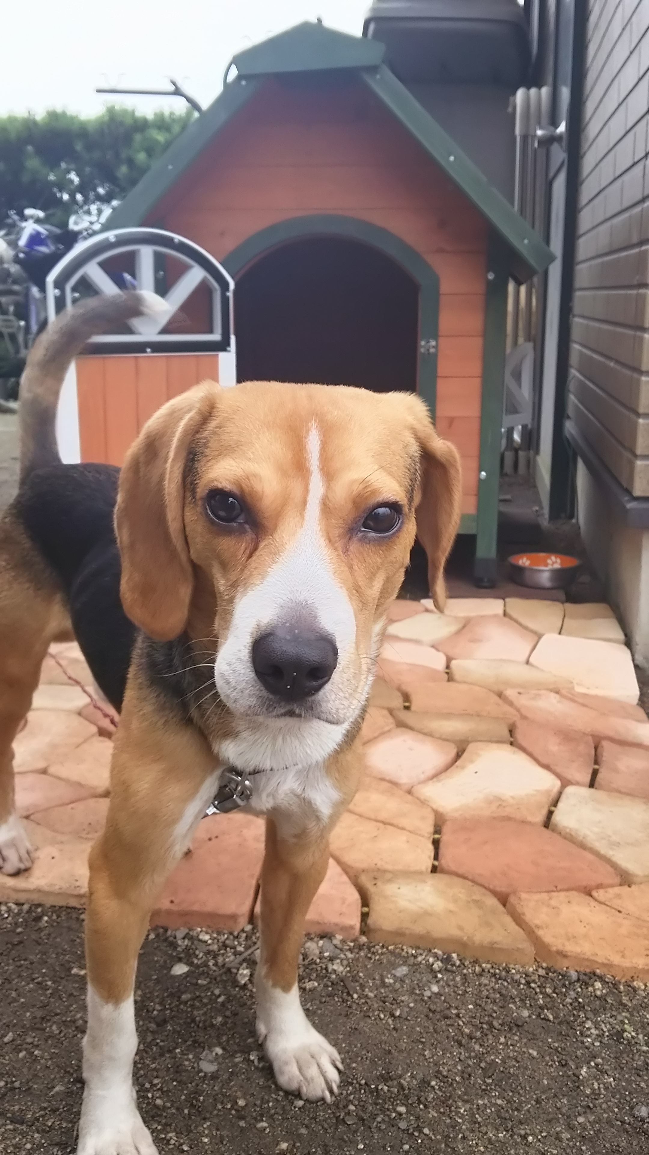 ファイル 843-5.jpg