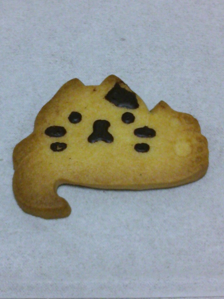 ファイル 849-1.jpg