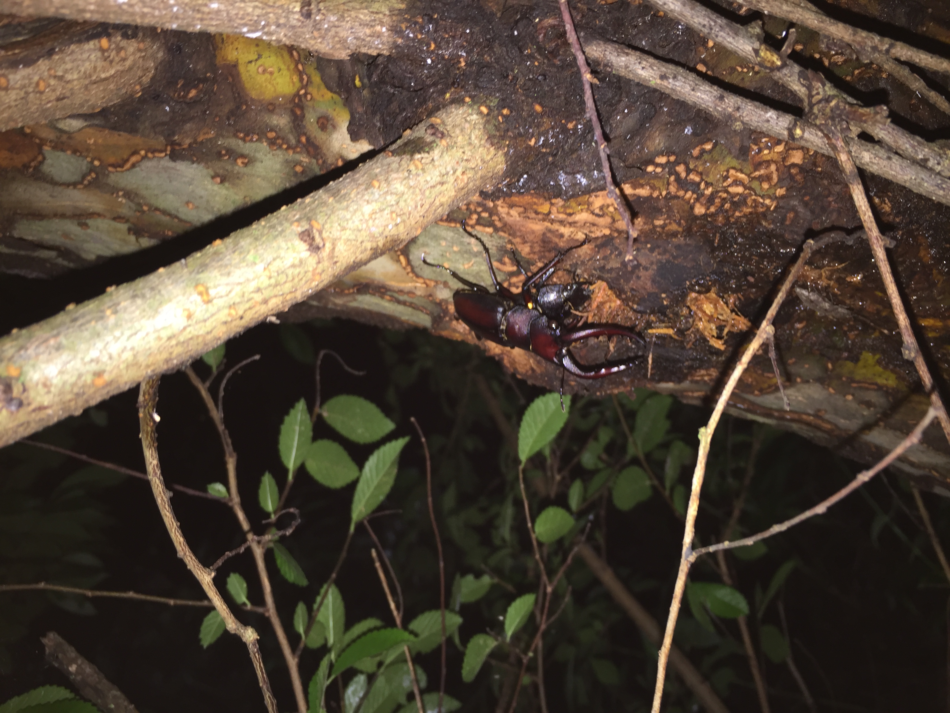 ファイル 851-2.jpg