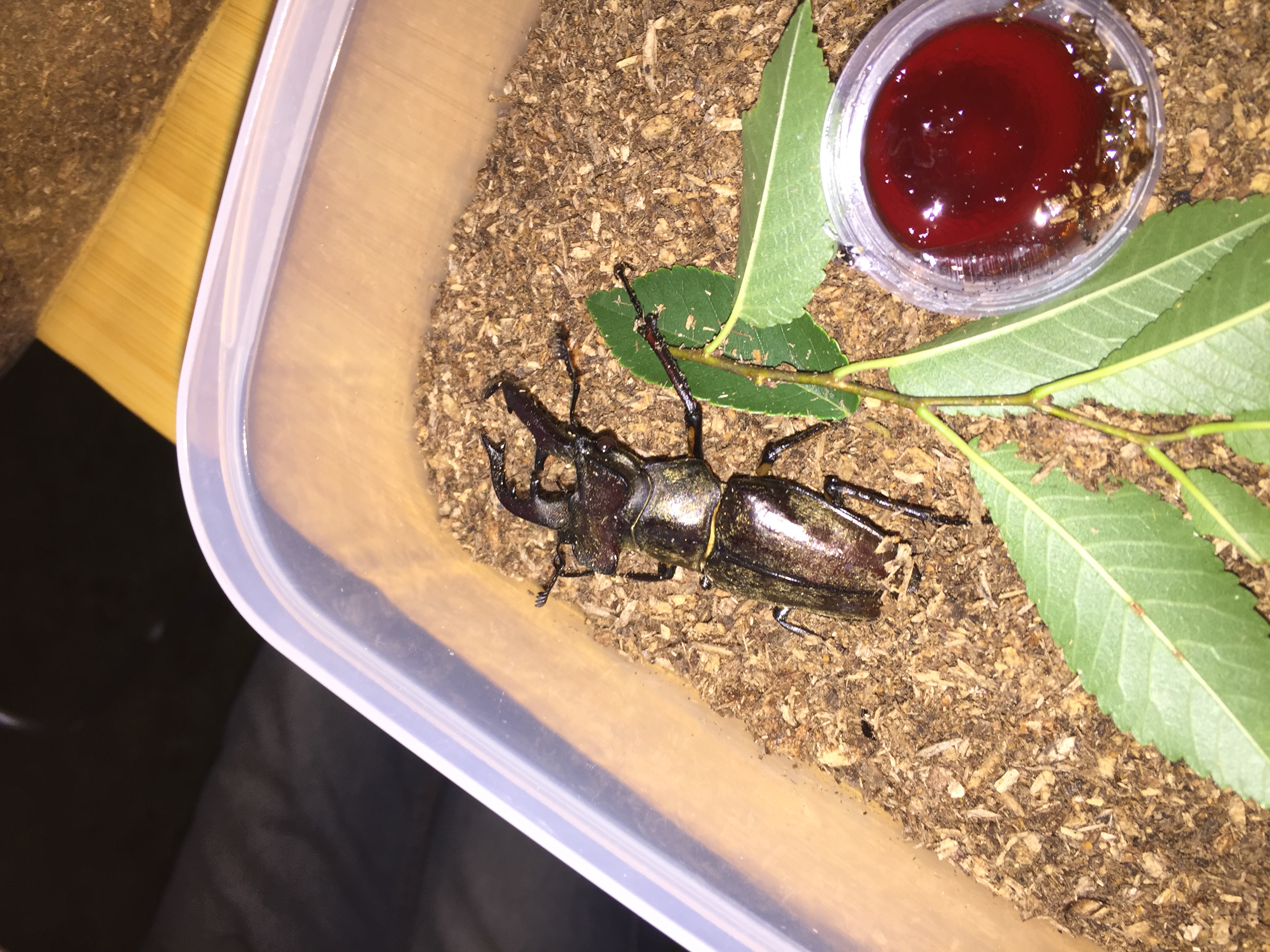 ファイル 851-3.jpg