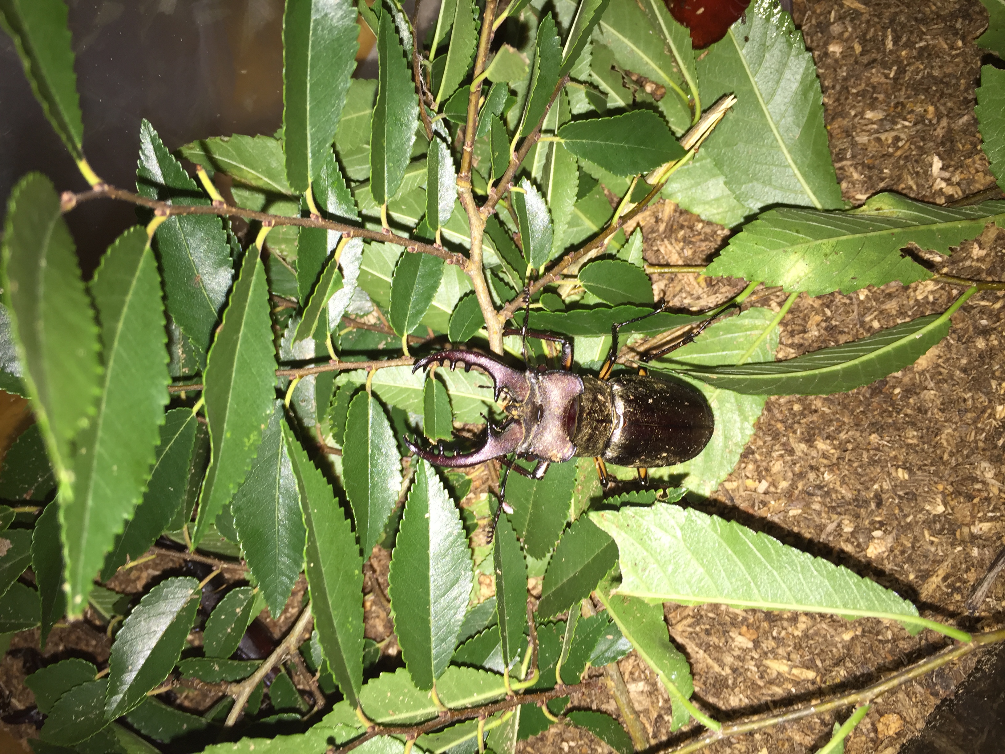 ファイル 851-5.jpg