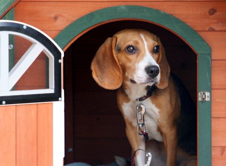 ファイル 852-1.jpg