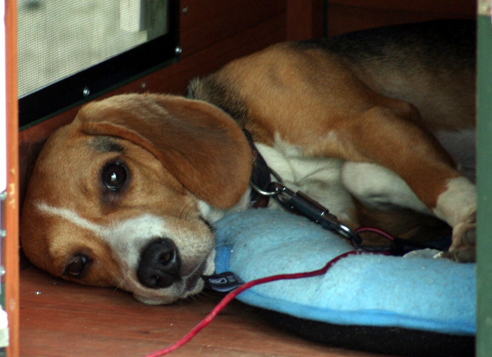 ファイル 852-2.jpg