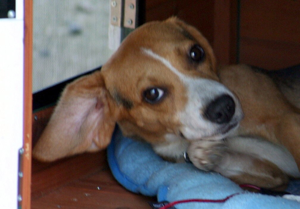 ファイル 852-3.jpg