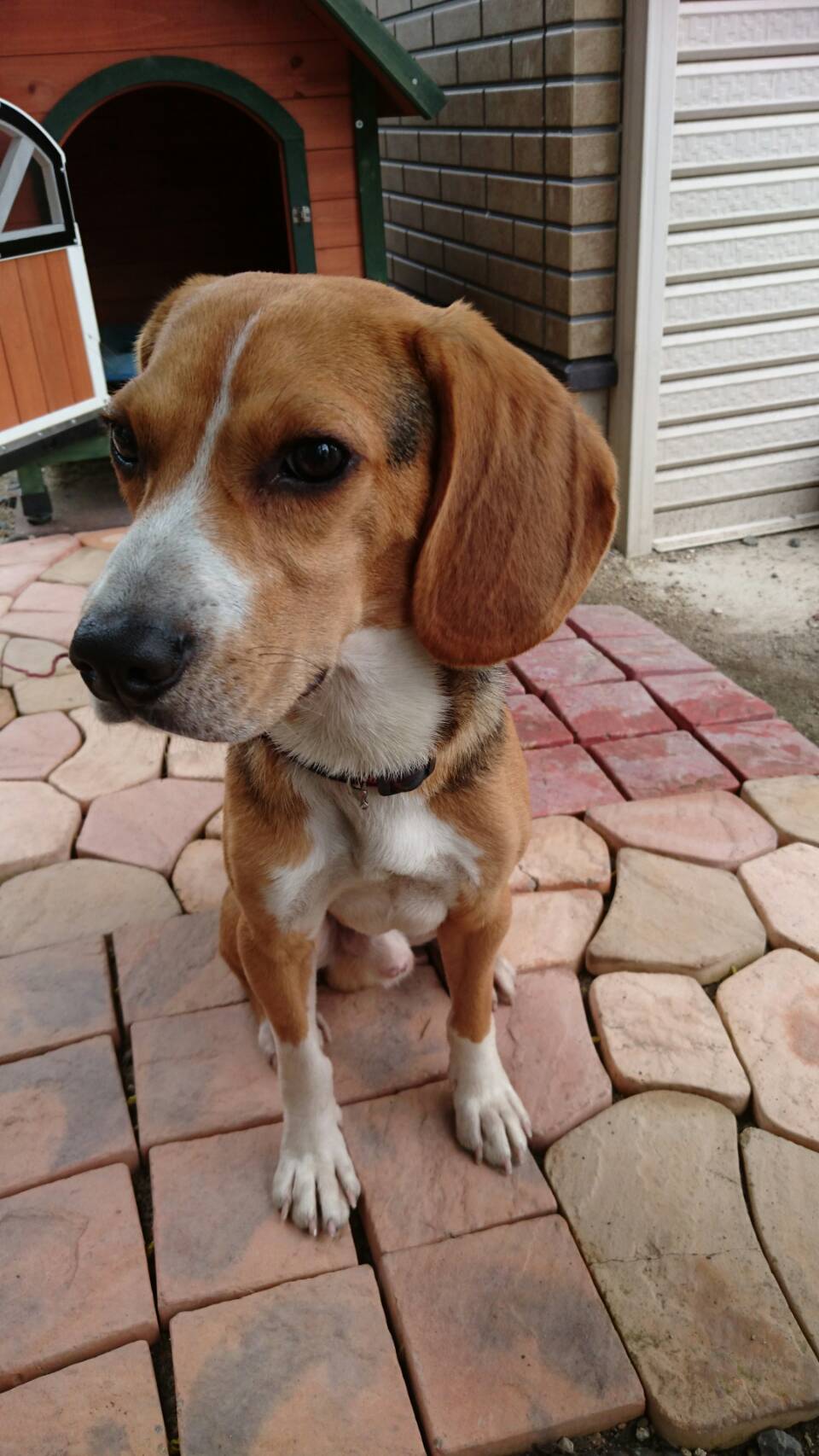 ファイル 852-4.jpg