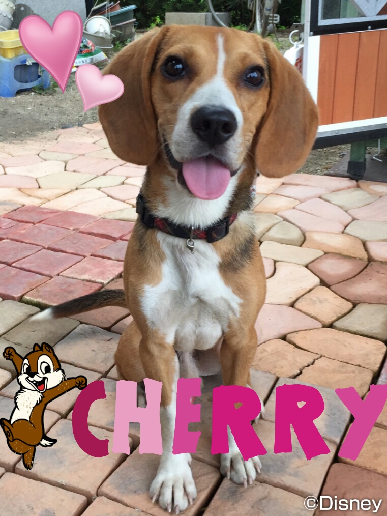 ファイル 852-5.jpg