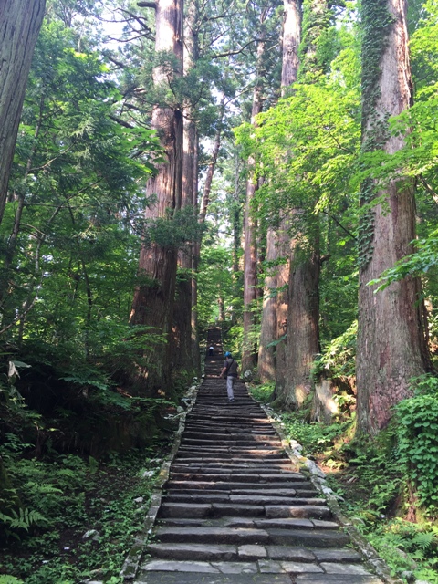 ファイル 867-1.jpg