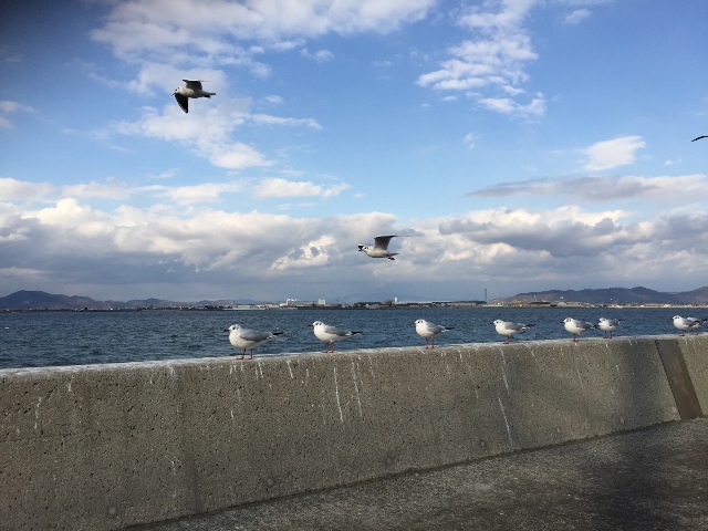 ファイル 917-1.jpg