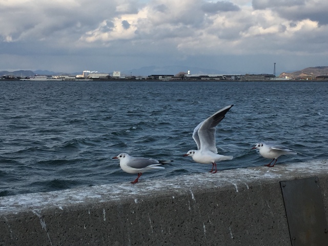 ファイル 917-2.jpg