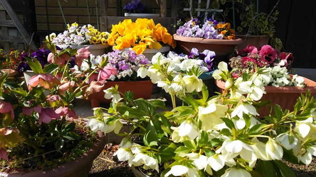 ファイル 928-1.jpg